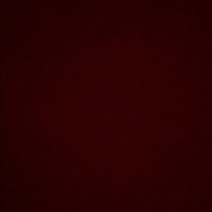 Meet your Posher, Abigail